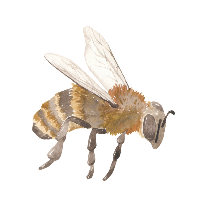 Enamel Mug - Bee
