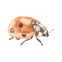 Enamel Mug - Lady Bug