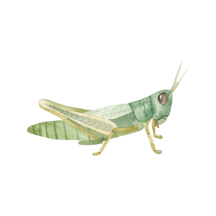 Grasshopper Tea Towel
